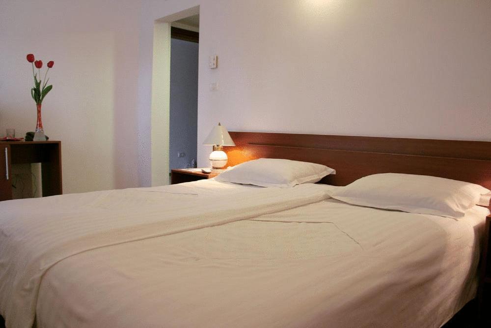 Hotel Timisoara Sannicolau Mare Sinnicolau Mare Екстер'єр фото